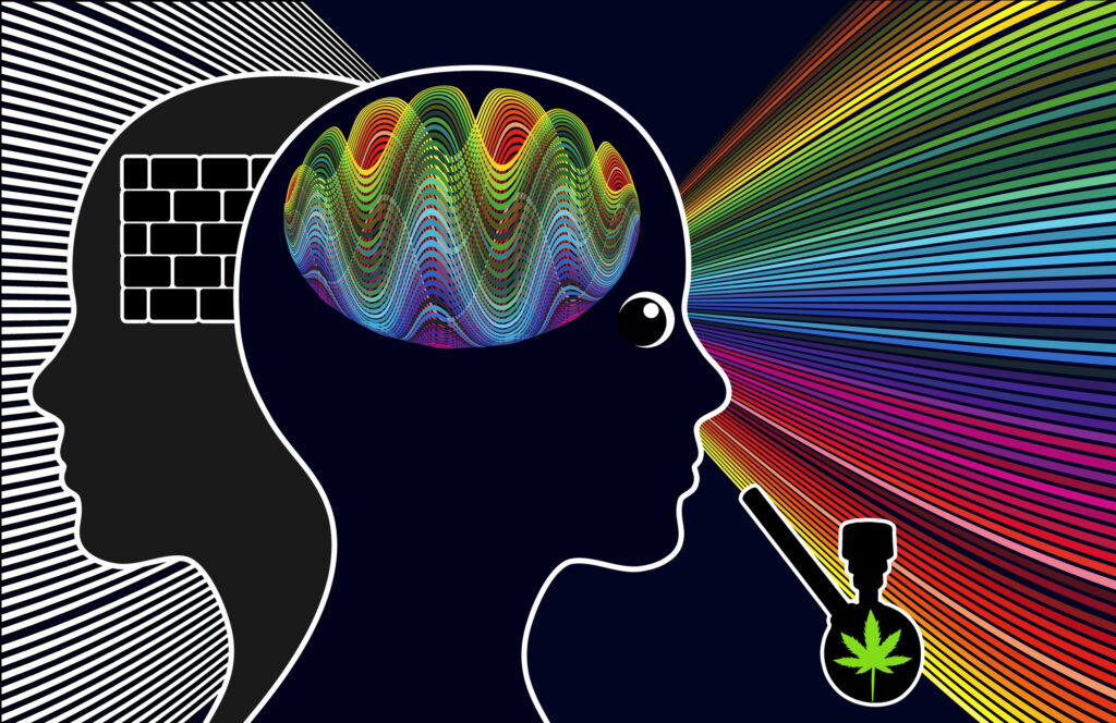 Buy Backlinks for a Psychedelics Site the Safe Way A Straight Guide for a Restricted Niche
