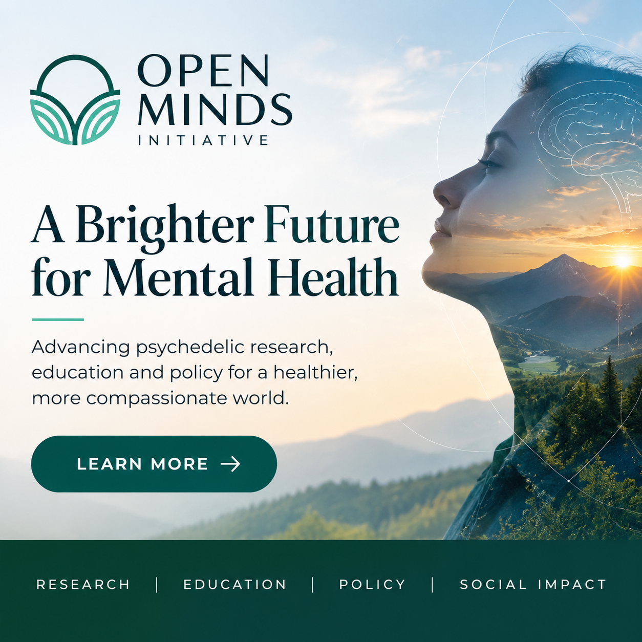 Open Minds Initiative psychedelic research and education resource