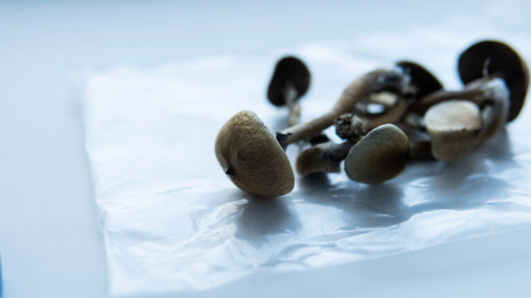 Ecommerce Marketing for an Online Psychedelics Store