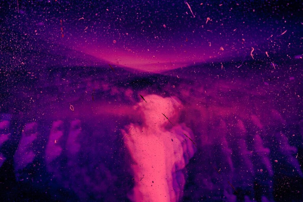 Psychedelic research concept representing neuroscience, mushrooms and European scientific research